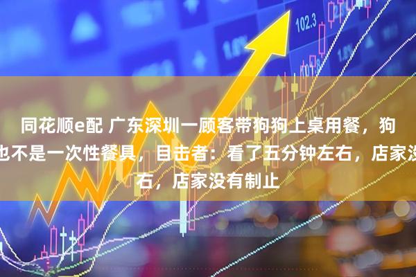 同花顺e配 广东深圳一顾客带狗狗上桌用餐，狗狗用的也不是一次性餐具，目击者：看了五分钟左右，店家没有制止